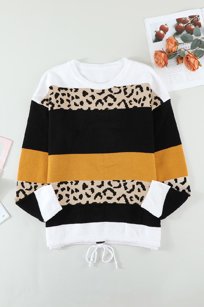 Pull Léopard Femme Sublime en 4 Tailles – Dropvet Pull Léopard Femme Sublime en 4 Tailles – Image 5